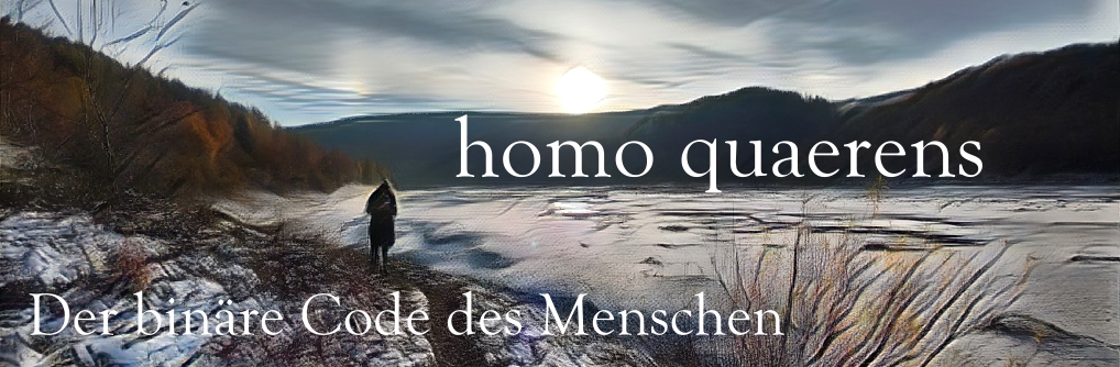 homo quaerens - Der binäre Code des Menschen